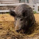 Photo 1 Key 2 Locksmith